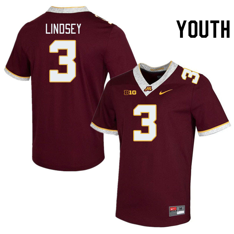 Youth #3 Drake Lindsey Minnesota Golden Gophers College Football Jerseys Stitched-Maroon